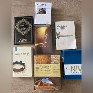 Biblical Bible book lot